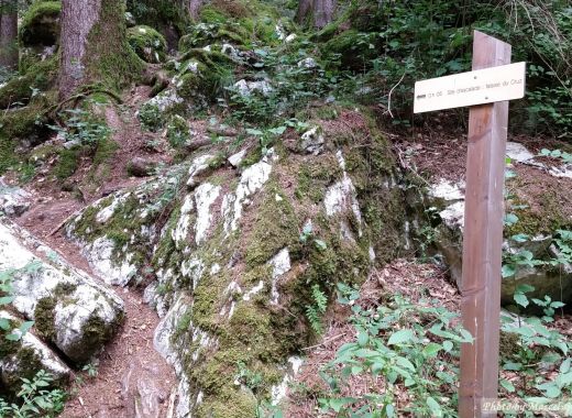 Cruz en Haute Savoie - #3