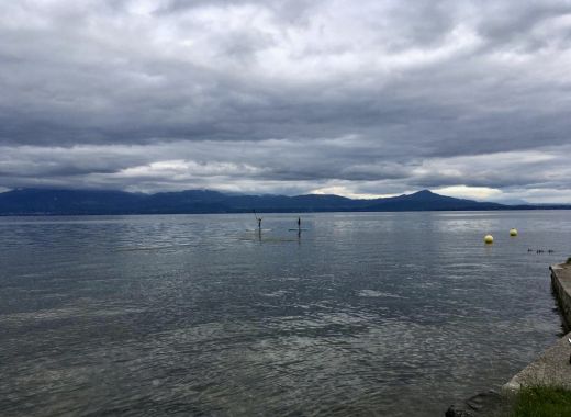 Apéro sur l’eau, initiation au paddle et barbecue, Rolle, Vaud   - #17