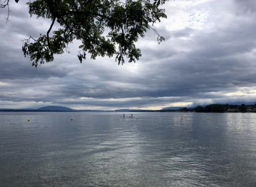 Apéro sur l’eau, initiation au paddle et barbecue, Rolle, Vaud   - #16