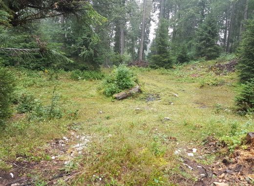 Randonnée au Grammont remplacée par une marche au col du Mollendruz - #5