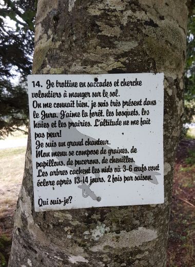 Randonnée au Grammont remplacée par une marche au col du Mollendruz - #6
