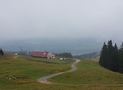 Randonnée au Grammont remplacée par une marche au col du Mollendruz - #7