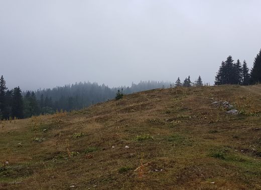 Randonnée au Grammont remplacée par une marche au col du Mollendruz - #8