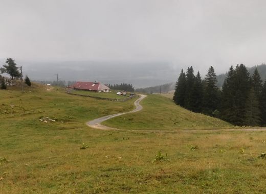 Randonnée au Grammont remplacée par une marche au col du Mollendruz - #21