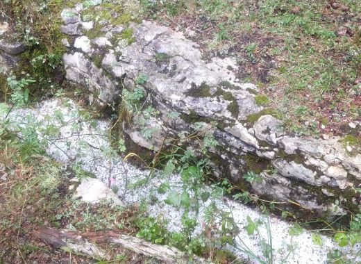 Randonnée au Grammont remplacée par une marche au col du Mollendruz - #23