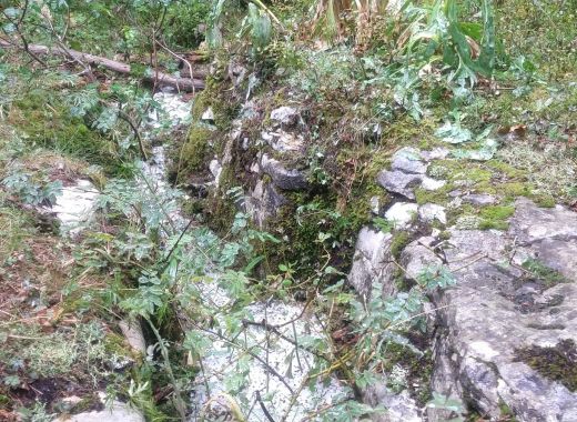 Randonnée au Grammont remplacée par une marche au col du Mollendruz - #24