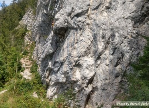 Le Pont - #7