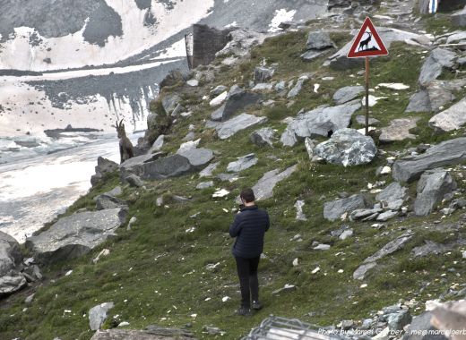 Via ferrata Britannia à Saas-Fee - #3