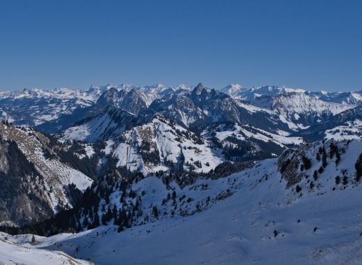 Rochers-de-Naye en hiver - #5