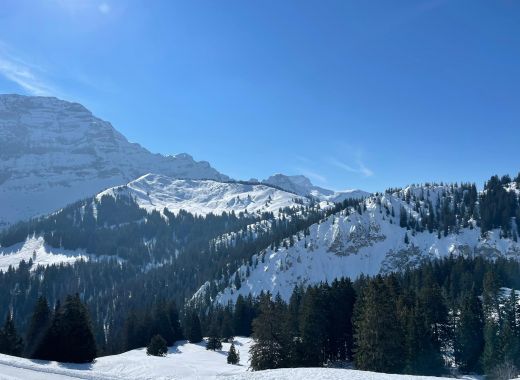 Luge aux Diablerets  - #7