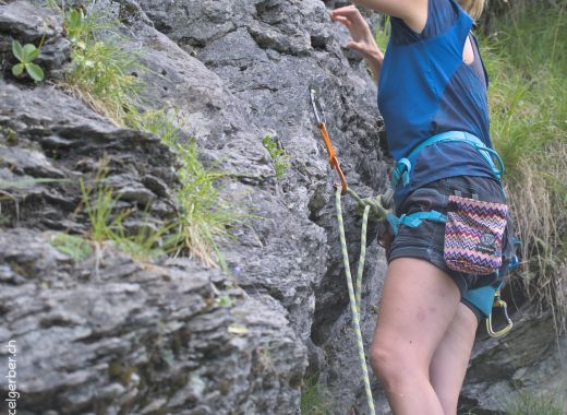 Plateau de Barme et Massongex - #23