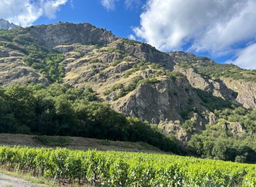 Cours de chute - 26 juillet 2023 - #4