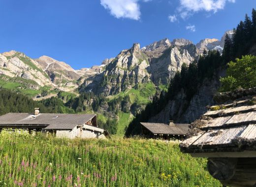 grimpe au plateau de Barme - #54