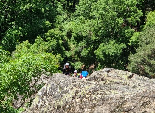 week end de mise a jour de longue voie - #9