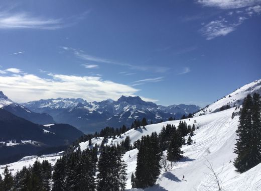 Journée de ski pour le fun à Leysin, Suisse - #5