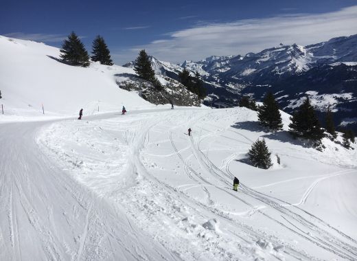 Journée de ski pour le fun à Leysin, Suisse - #3