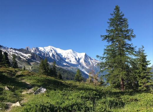 Semaine grimpe à Chamonix, France  - #1